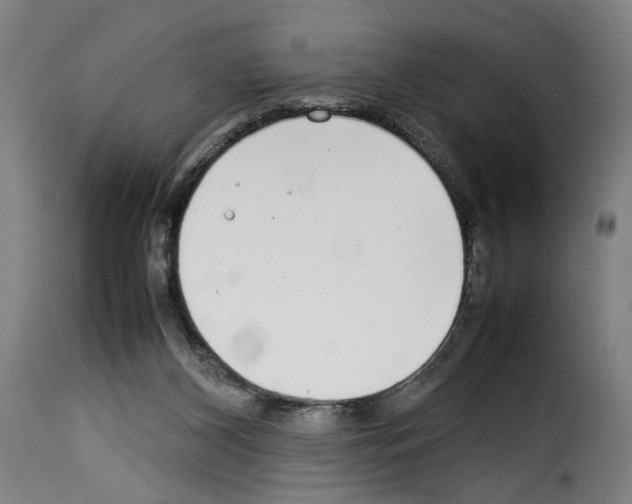 X0000114220116200911201055