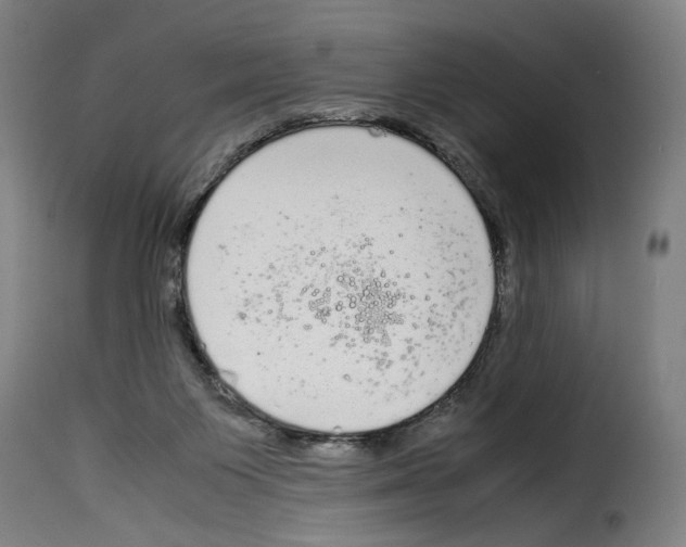 X0000114220119200911201055