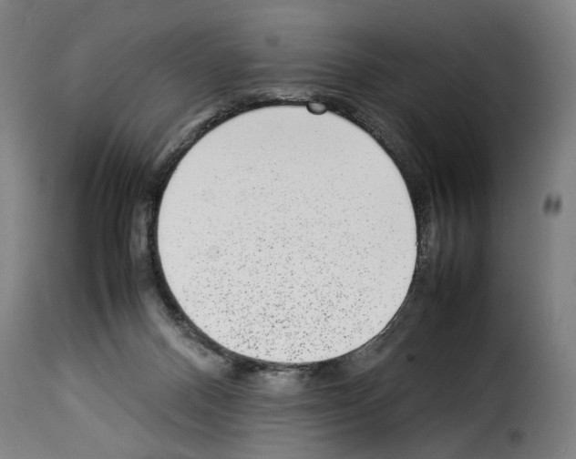 X0000114220120200911201055