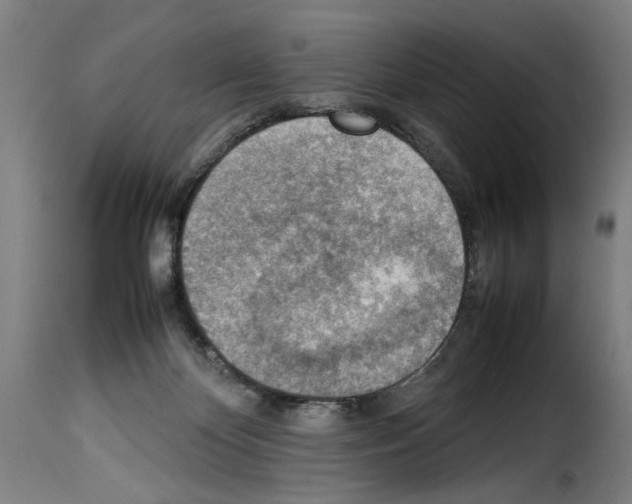 X0000114220124200911201055