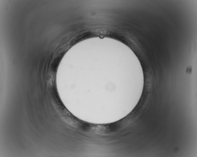 X0000114220125200911201055