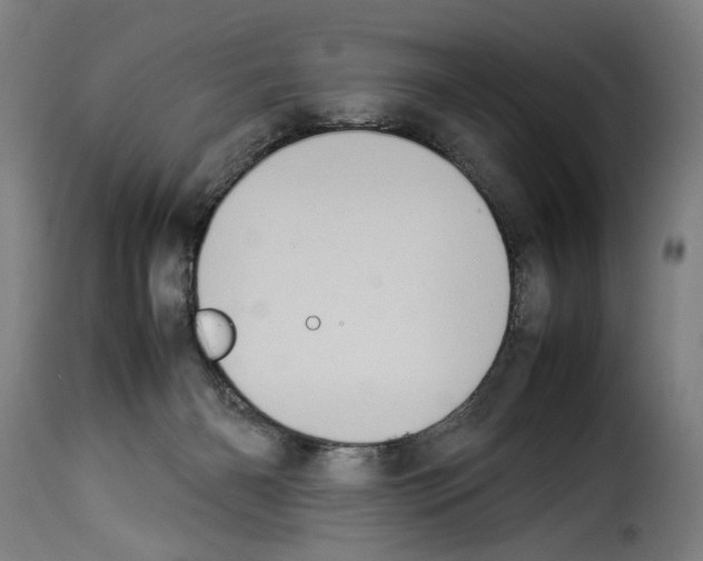 X0000114220126200911201055