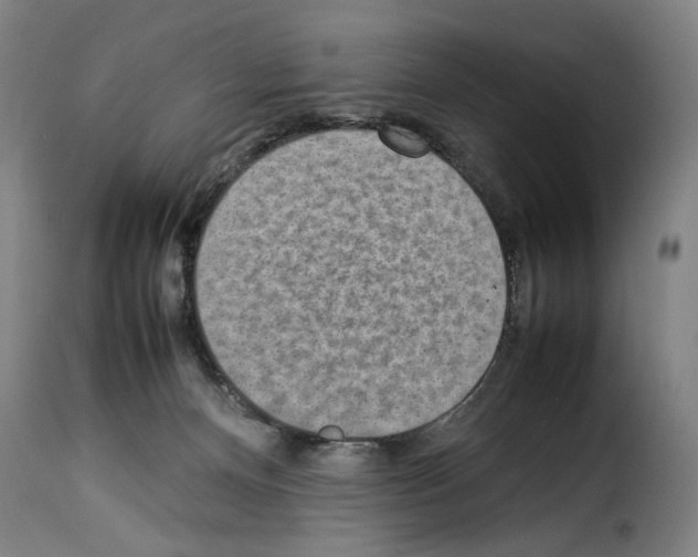 X0000114220128200911201055