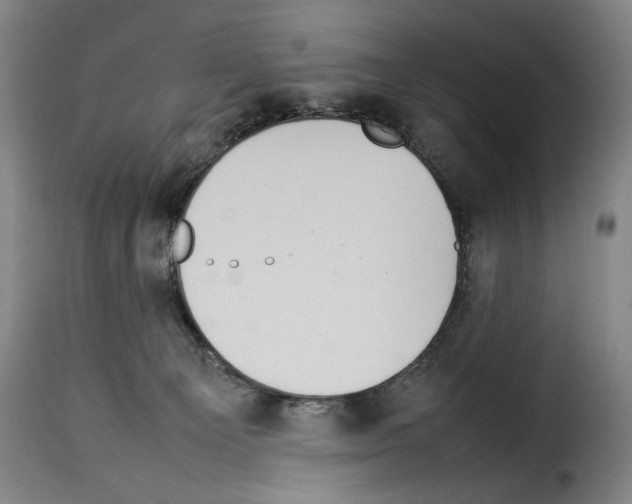 X0000114220129200911201055