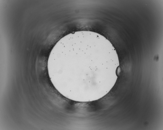 X0000114220133200911201055