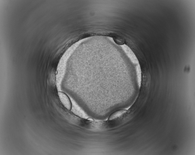 X0000114220143200911201055