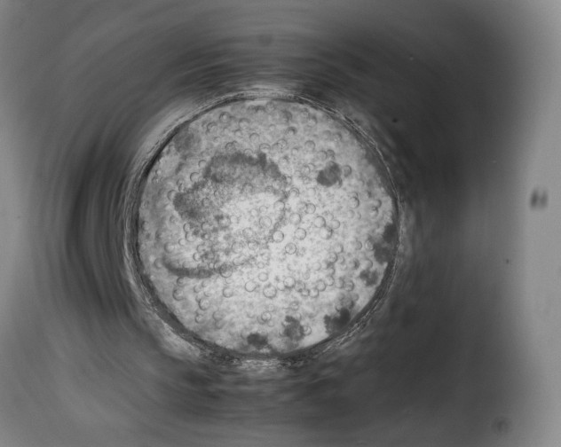 X0000114220145200911201054