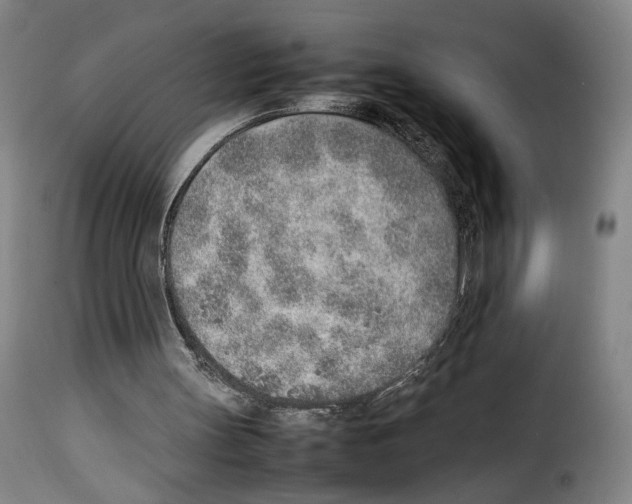 X0000114220147200911201054