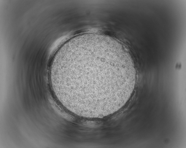 X0000114220149200911201054