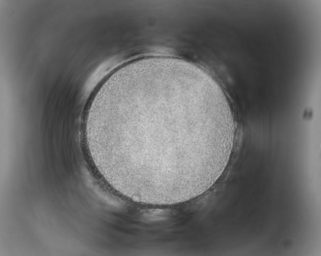 X0000114220151200911201054