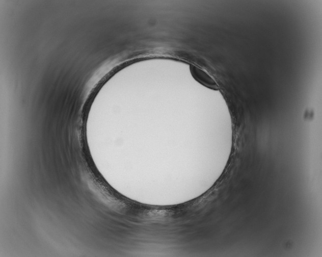 X0000114220152200911201054