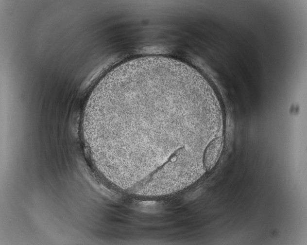 X0000114220153200911201054