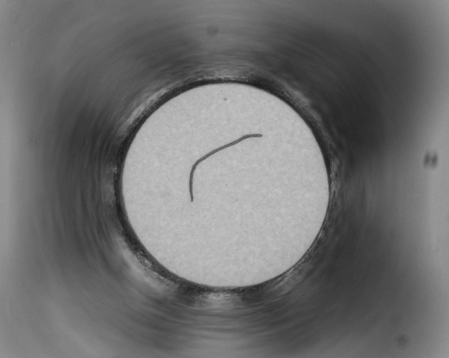 X0000114220154200911201054