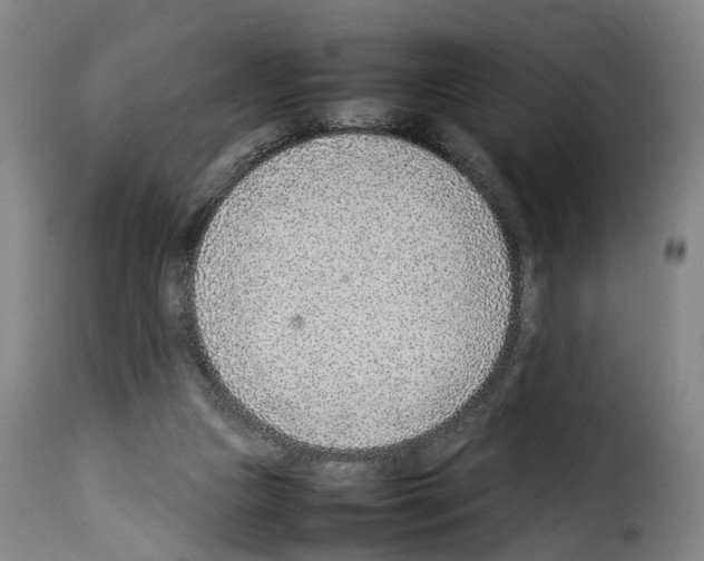 X0000114220161200911201054