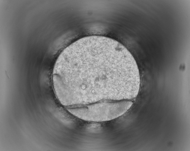 X0000114220162200911201054