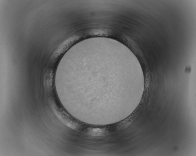 X0000114220163200911201054