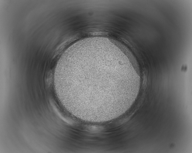 X0000114220165200911201054
