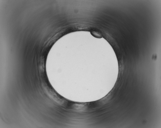 X0000114220170200911201054