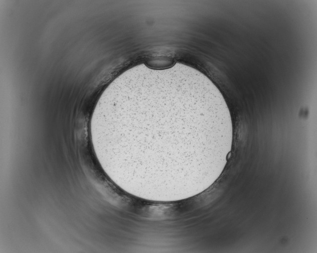 X0000114220172200911201054