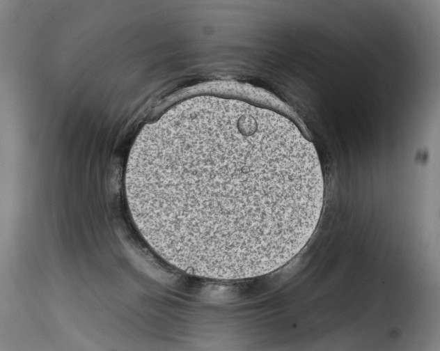 X0000114220174200911201054