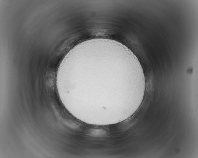 X0000114220175200911201054