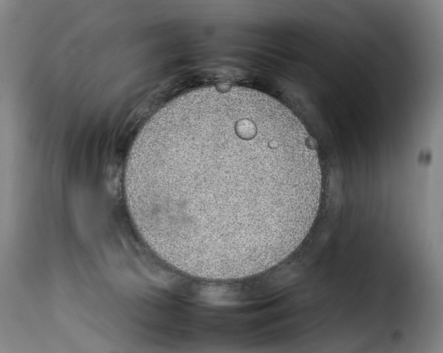 X0000114220177200911201054