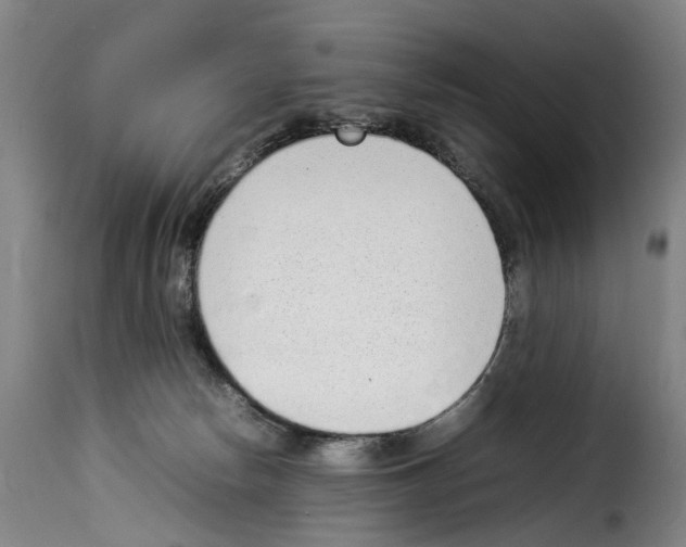 X0000114220178200911201054