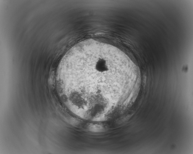 X0000114220181200911201055