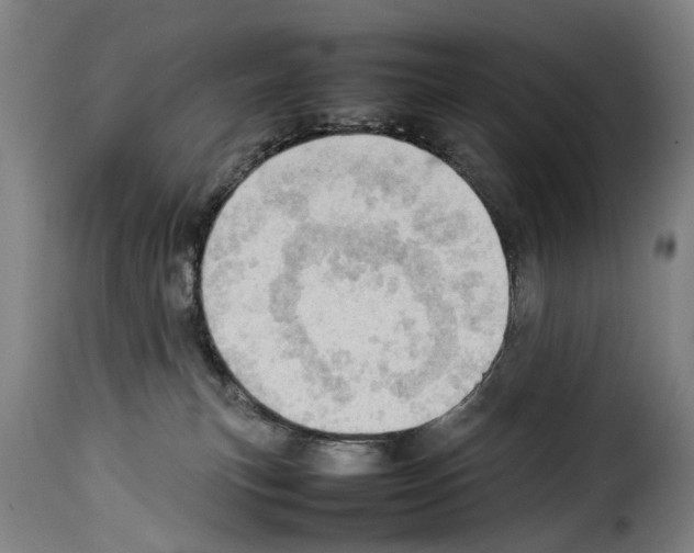 X0000114220183200911201055