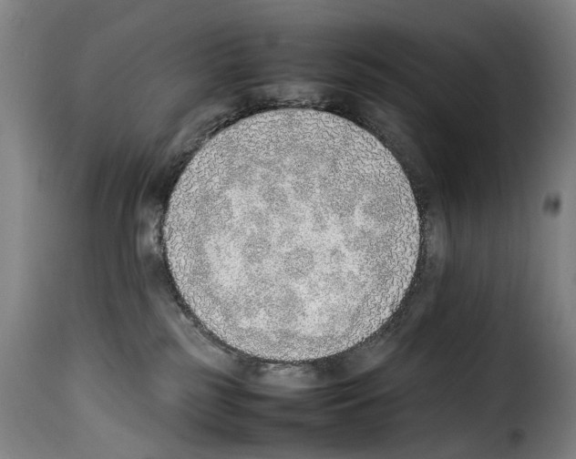 X0000114220185200911201055