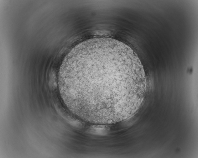 X0000114220187200911201055