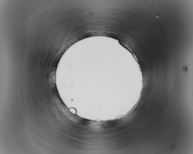 X0000114220190200911201055