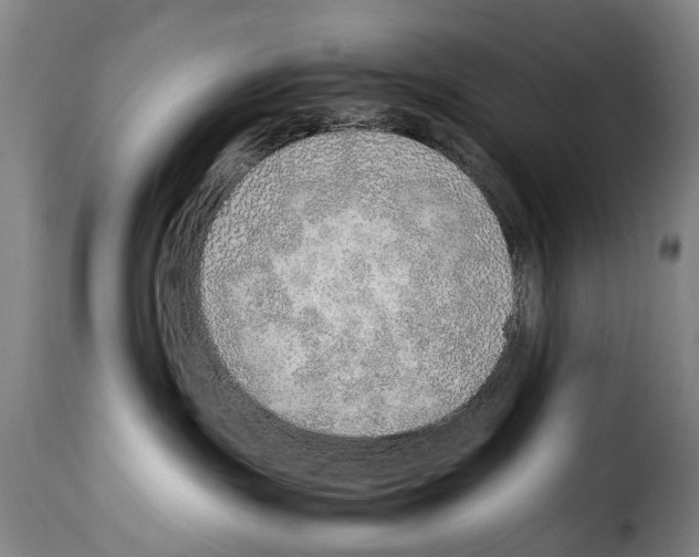 X0000114220191200911201055