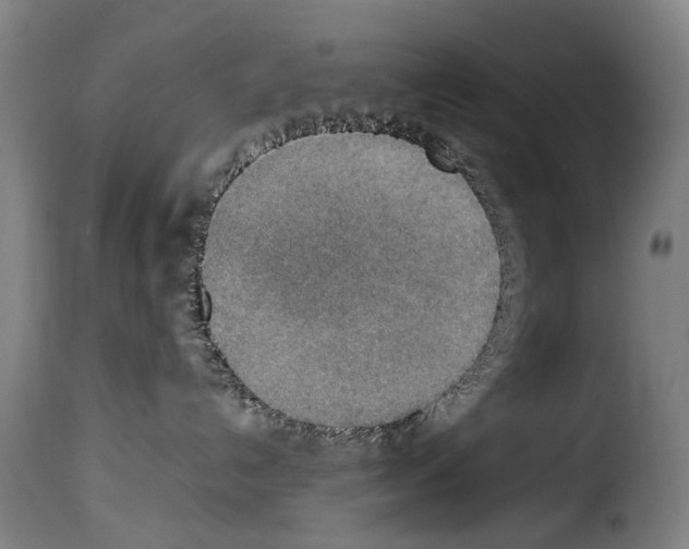X0000114220192200911201055