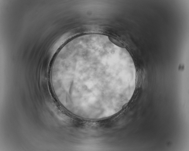 X0000114220195200911201054