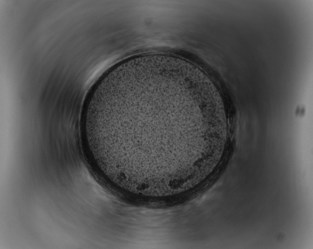 X0000114220196200911201054