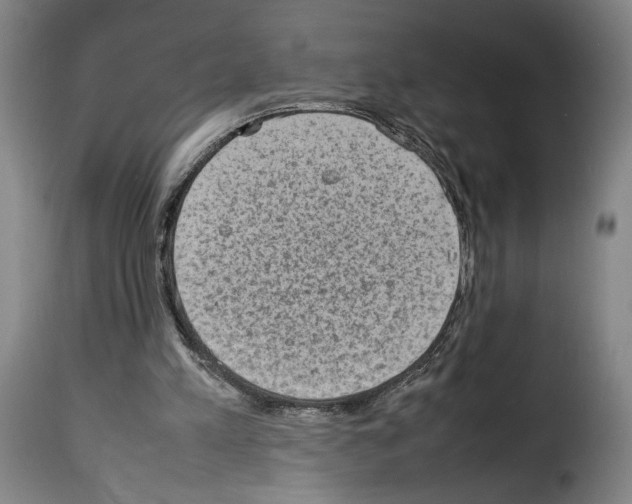X0000114220197200911201054
