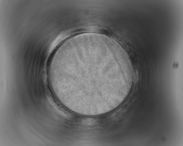 X0000114220198200911201054
