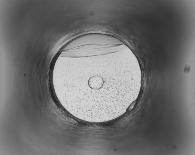 X0000114220199200911201054