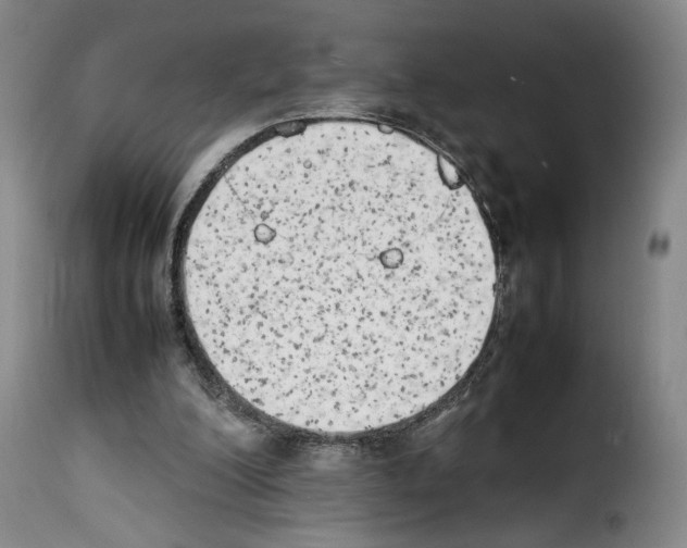 X0000114220200200911201054