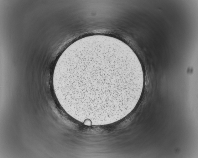 X0000114220201200911201054