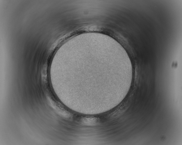 X0000114220202200911201054