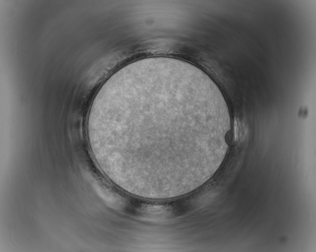 X0000114220205200911201054
