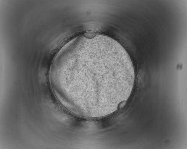 X0000114220209200911201054