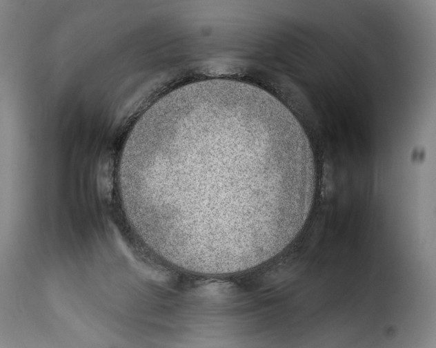 X0000114220210200911201054