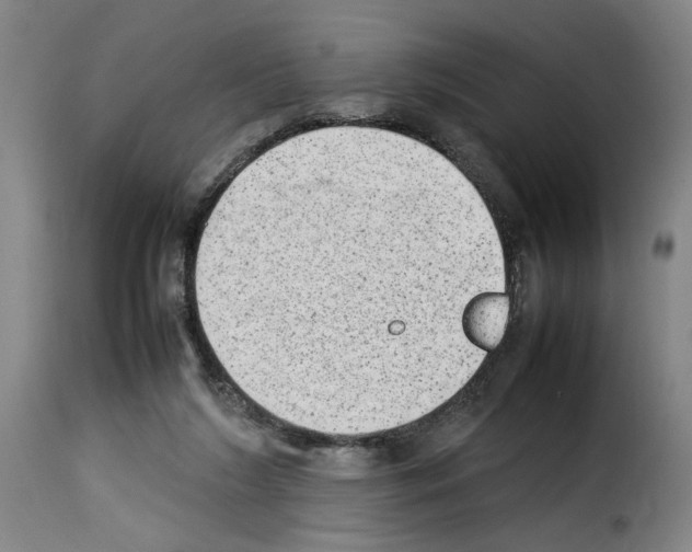 X0000114220212200911201054