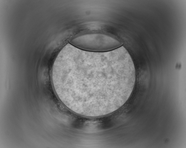 X0000114220213200911201054