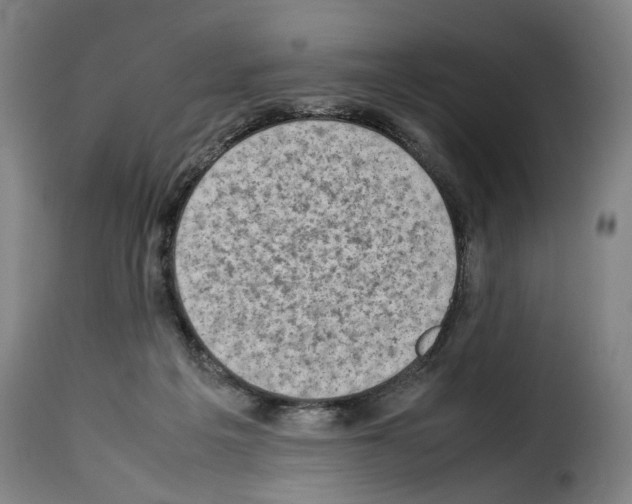 X0000114220217200911201054