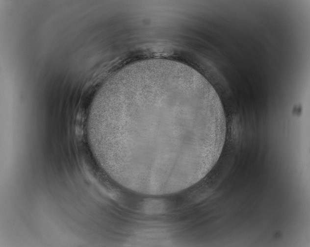X0000114220218200911201054