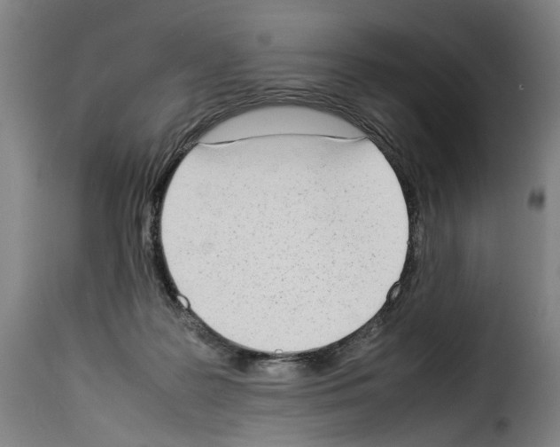 X0000114220219200911201054